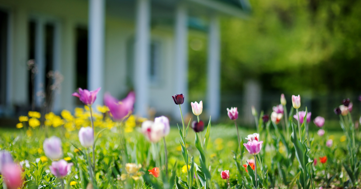 Preparing Your Home for Spring